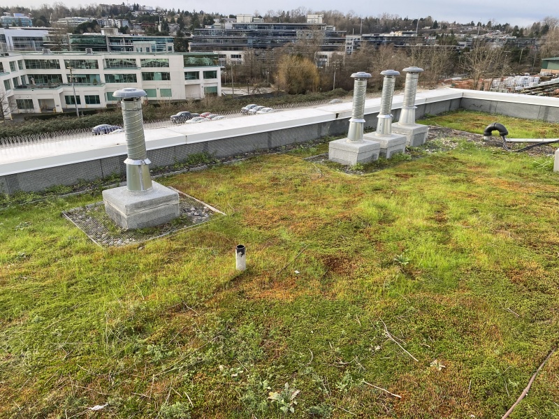 File:VRA Standard Notes, Figure A-5.1.3.3.-2.JPG