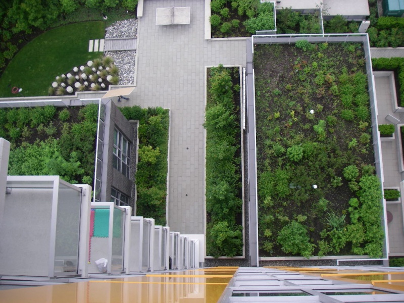 File:Waterproofing Systems 1.JPG