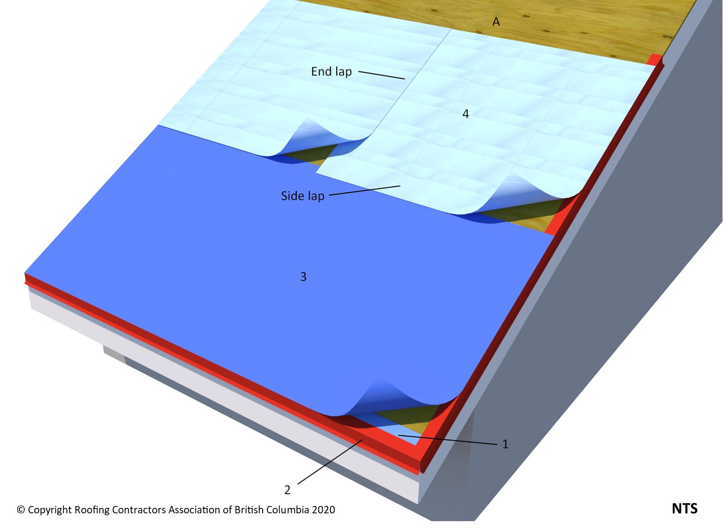 ASM 8.1.1 Eave Protection and Underlayment.jpg