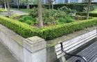 Waterproofing Planters.jpg