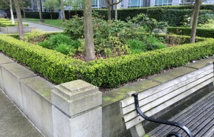 Waterproofing Planters.jpg