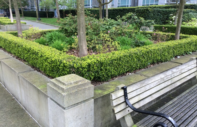 File:Waterproofing Planters.jpg