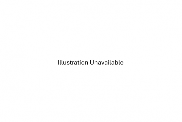 Illustration Unavailable (Filler Image).png