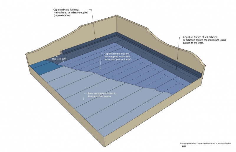File:SBS Figure 10.3.1-2.jpg
