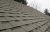 Asphalt Shingles.JPG