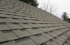 Asphalt Shingles.JPG