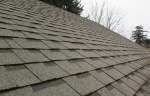 Asphalt Shingles.JPG