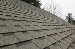 Asphalt Shingles.JPG