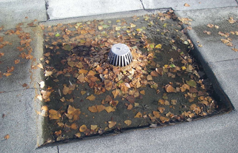 File:Roof Maintenance.JPG