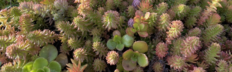 File:Extensive VR System (banner).JPG