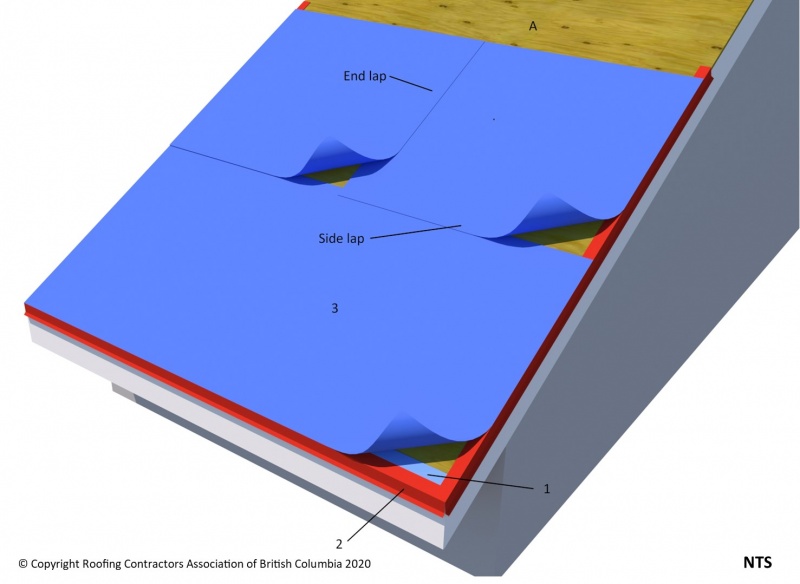 File:ASM 8.1.2 Self-Adhered Underlayment.jpg