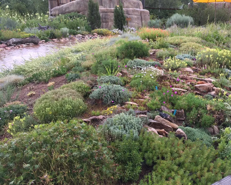 File:Intensive VR System.png