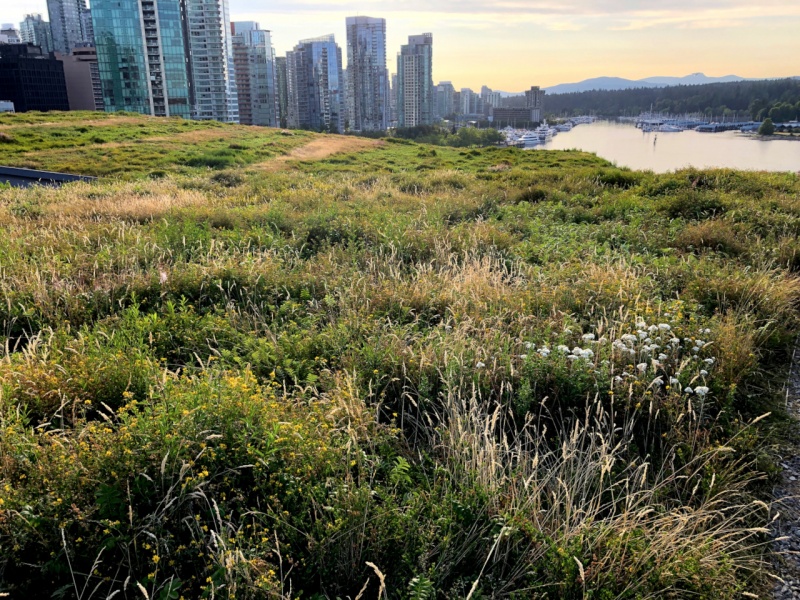 File:Semi-intensive VR System.JPG