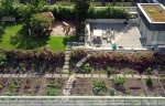 Rooftop-garden.jpg